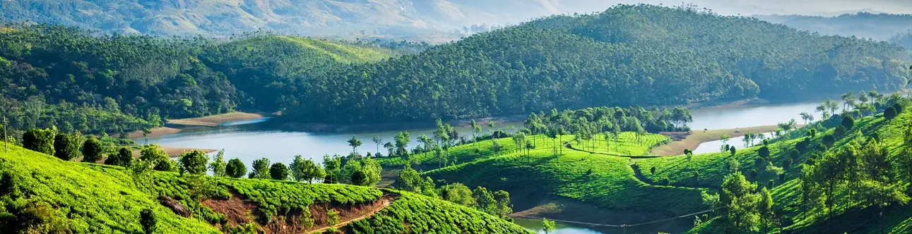 Best tour's in Munnar 